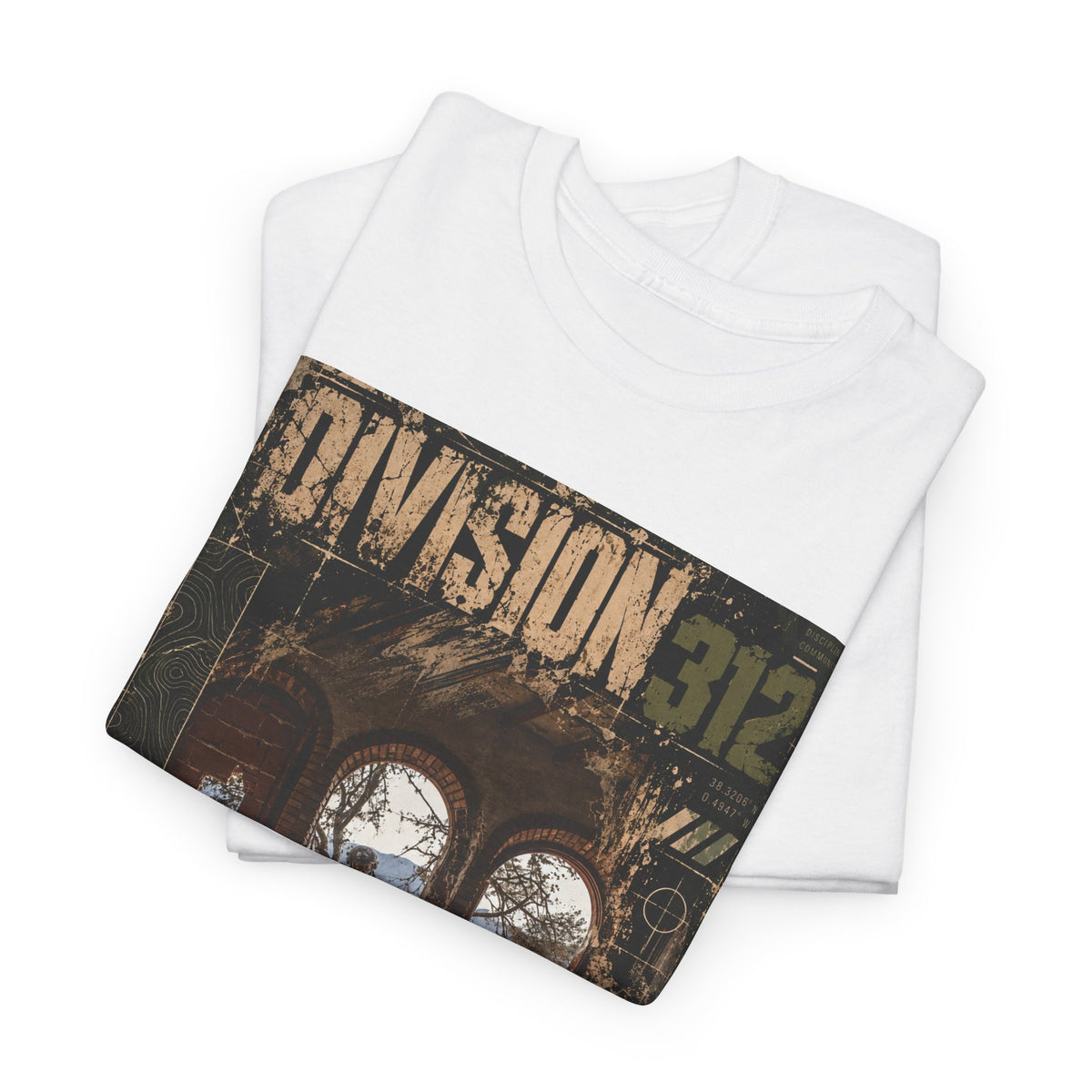 Ruins - Entrance - Division 312