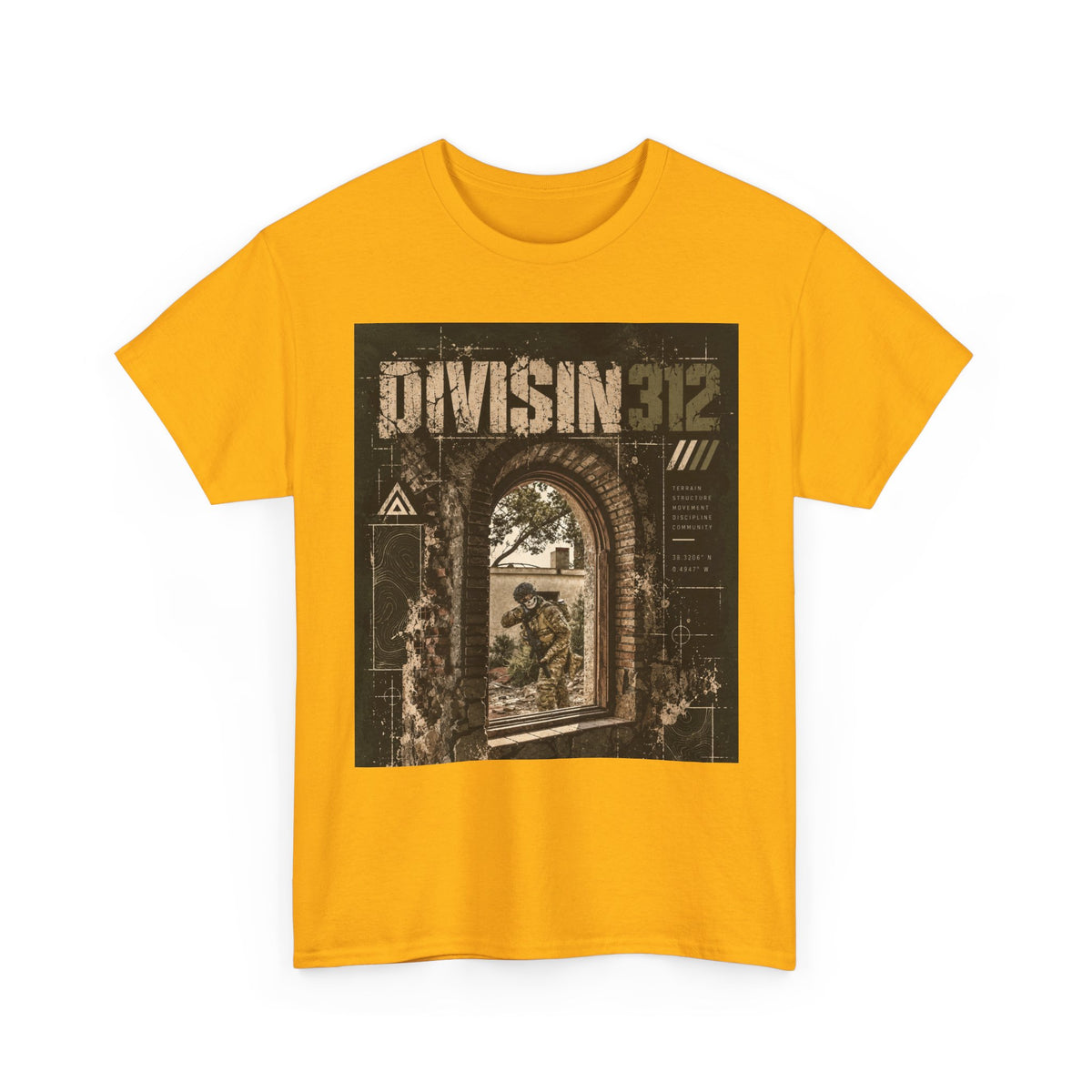 Ruins - Windows danger - Division 312