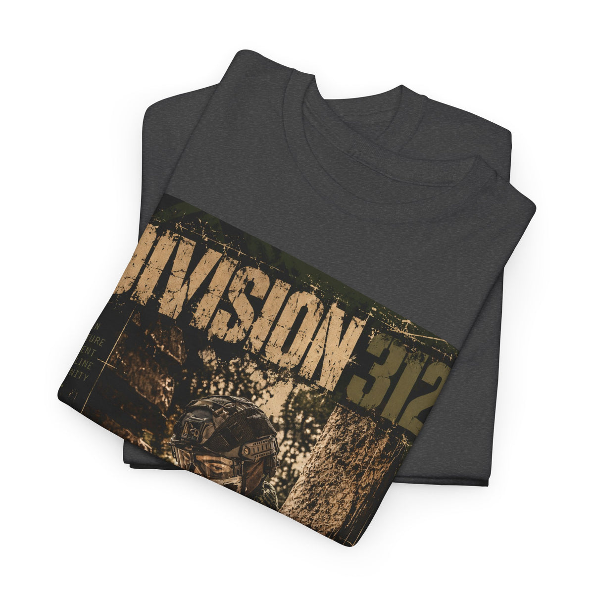 Ruins - Blind Shoot - Division 312