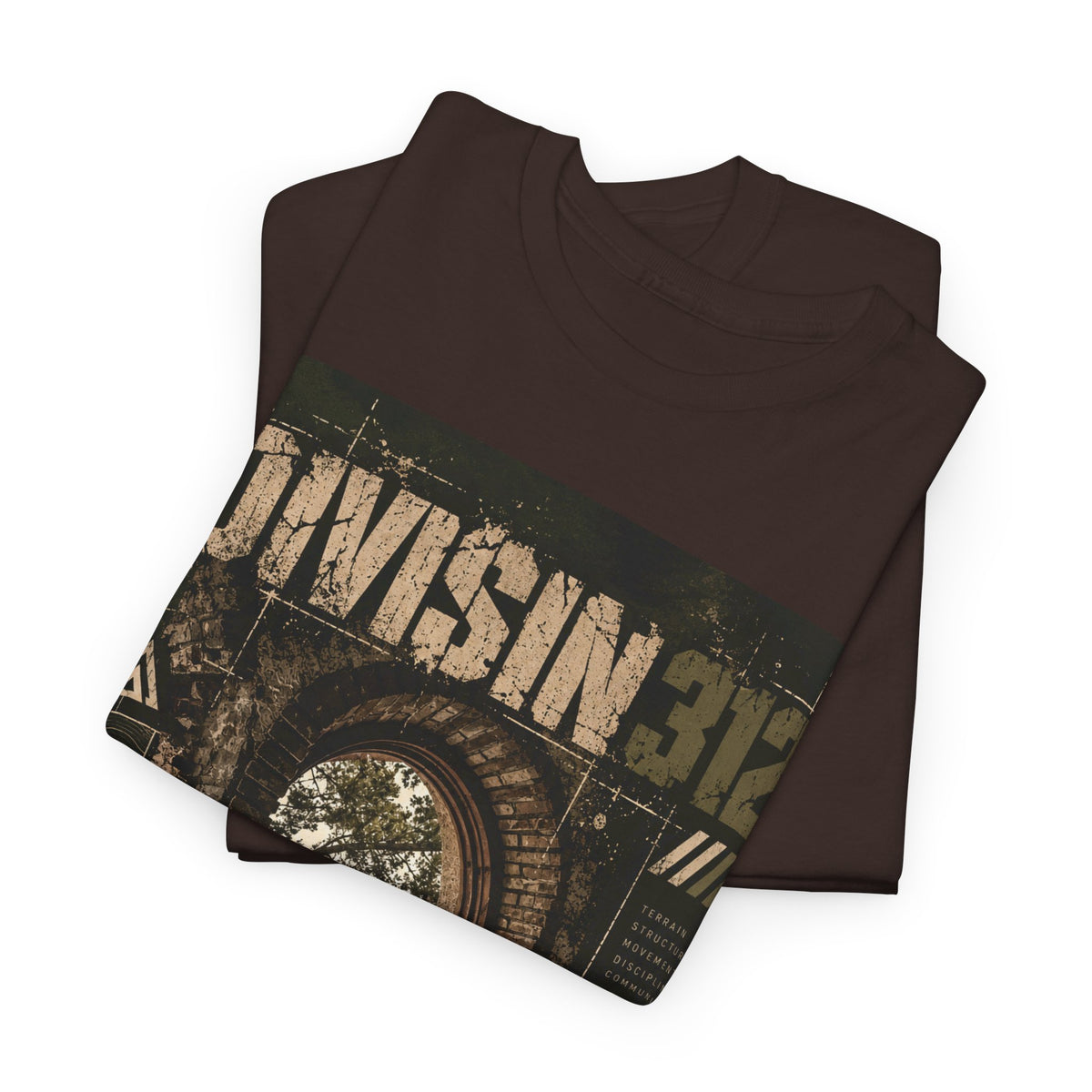 Ruins - Windows danger - Division 312