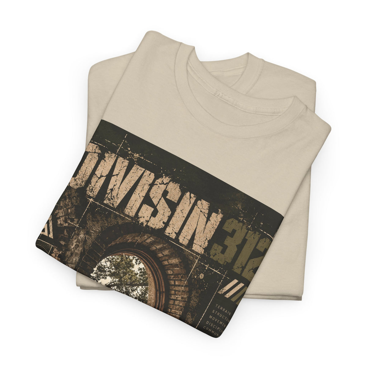 Ruins - Windows danger - Division 312