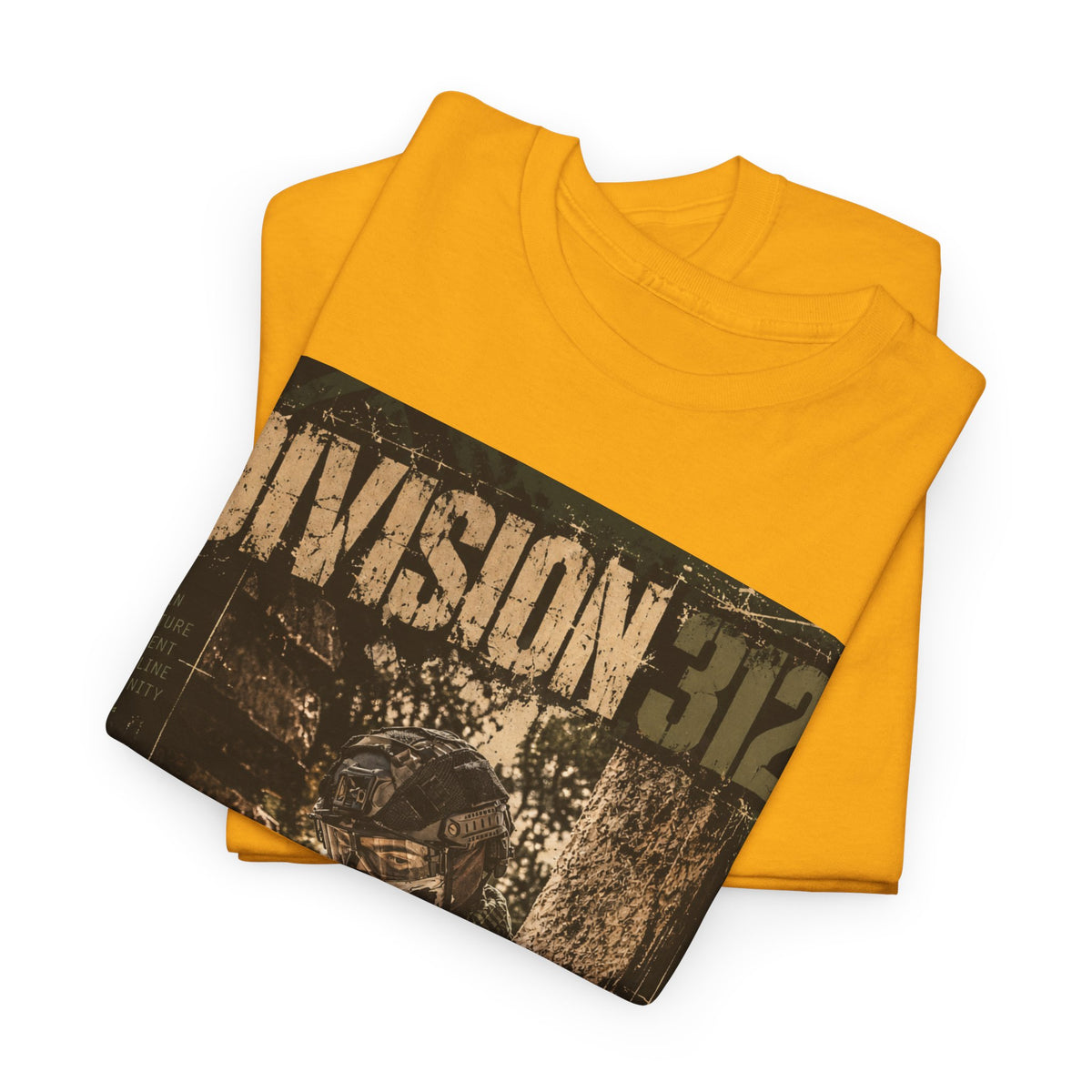 Ruins - Blind Shoot - Division 312