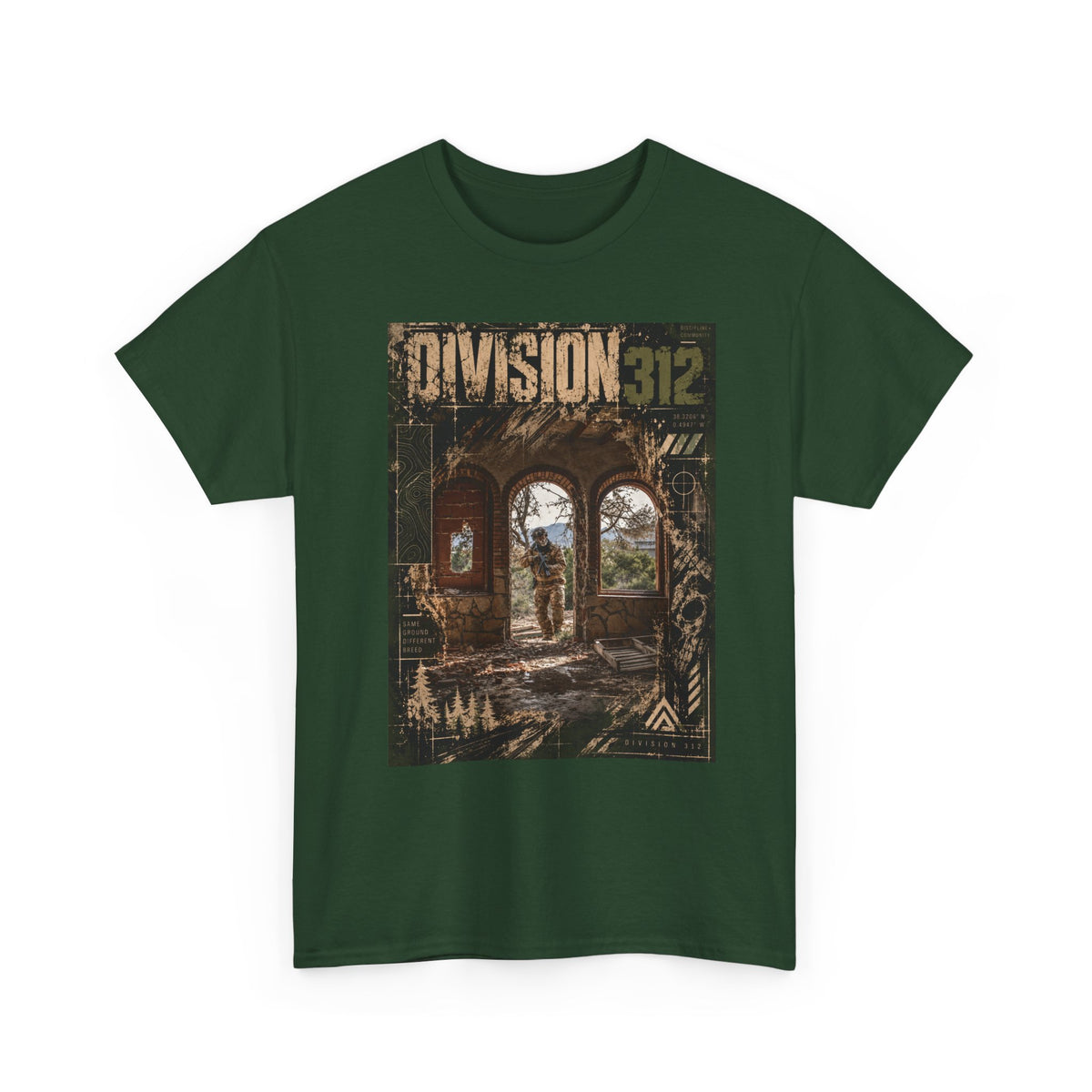 Ruins - Entrance - Division 312