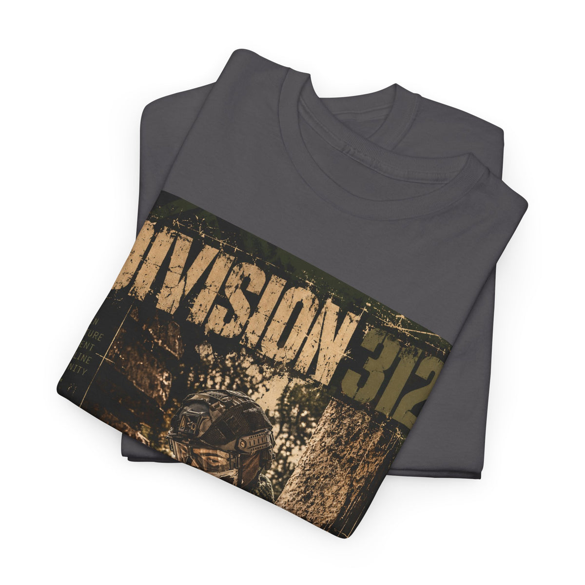 Ruins - Blind Shoot - Division 312