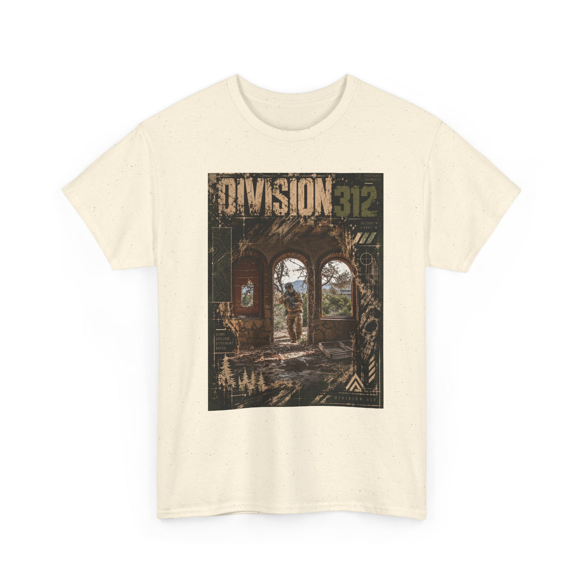 Ruins - Entrance - Division 312