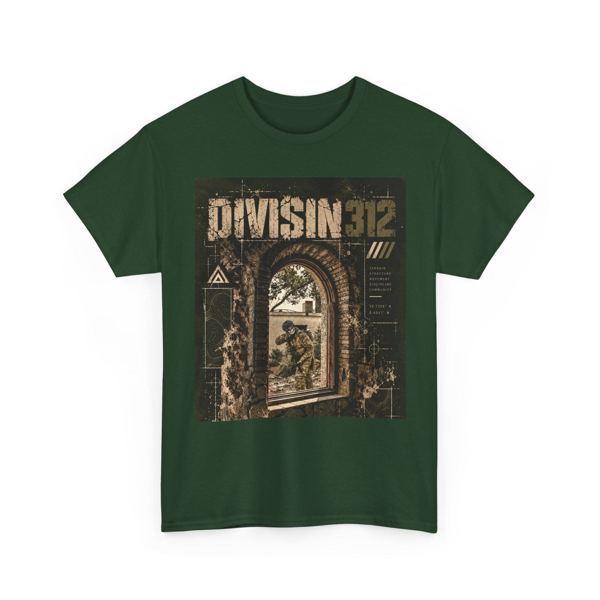 Ruins - Windows danger - Division 312