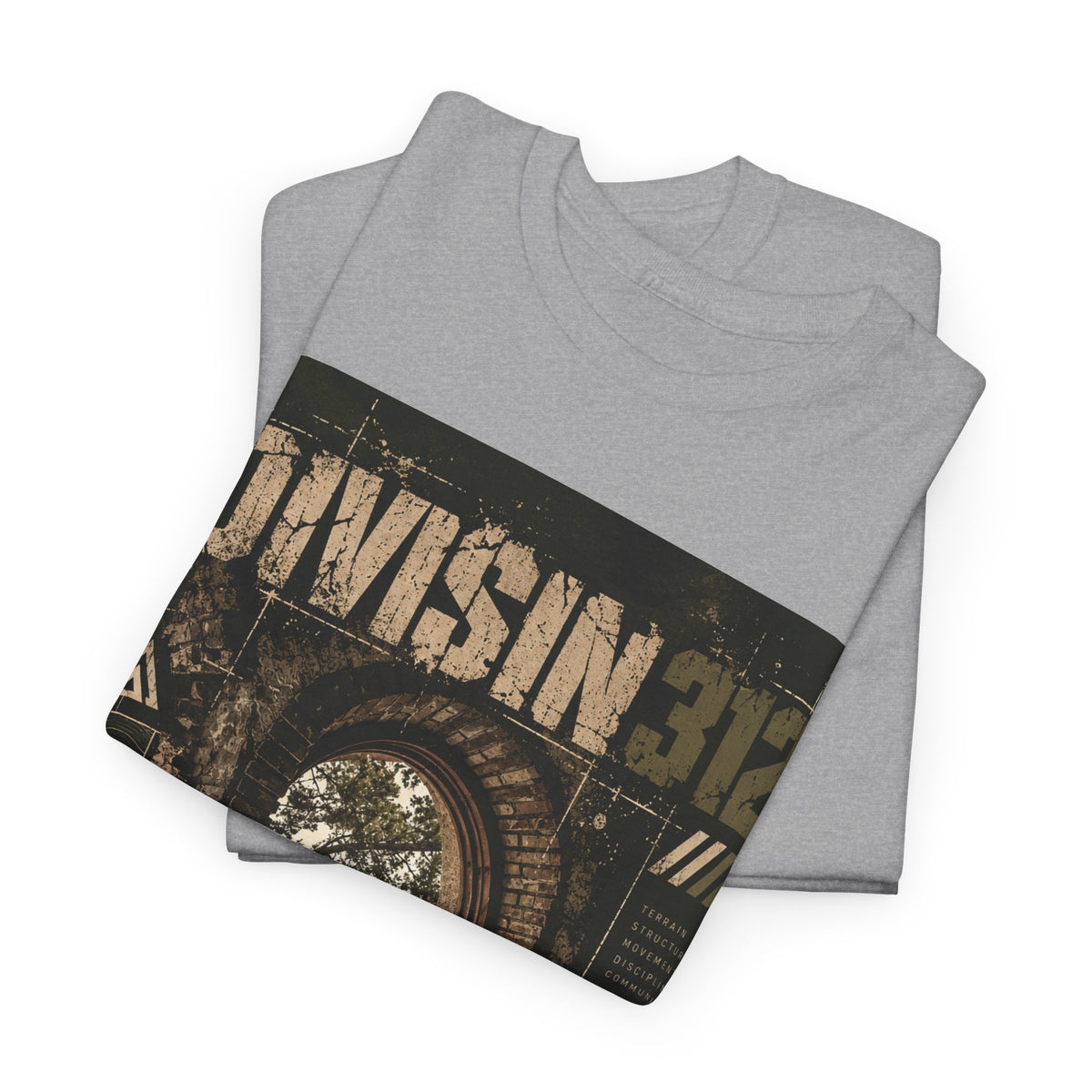 Ruins - Windows danger - Division 312