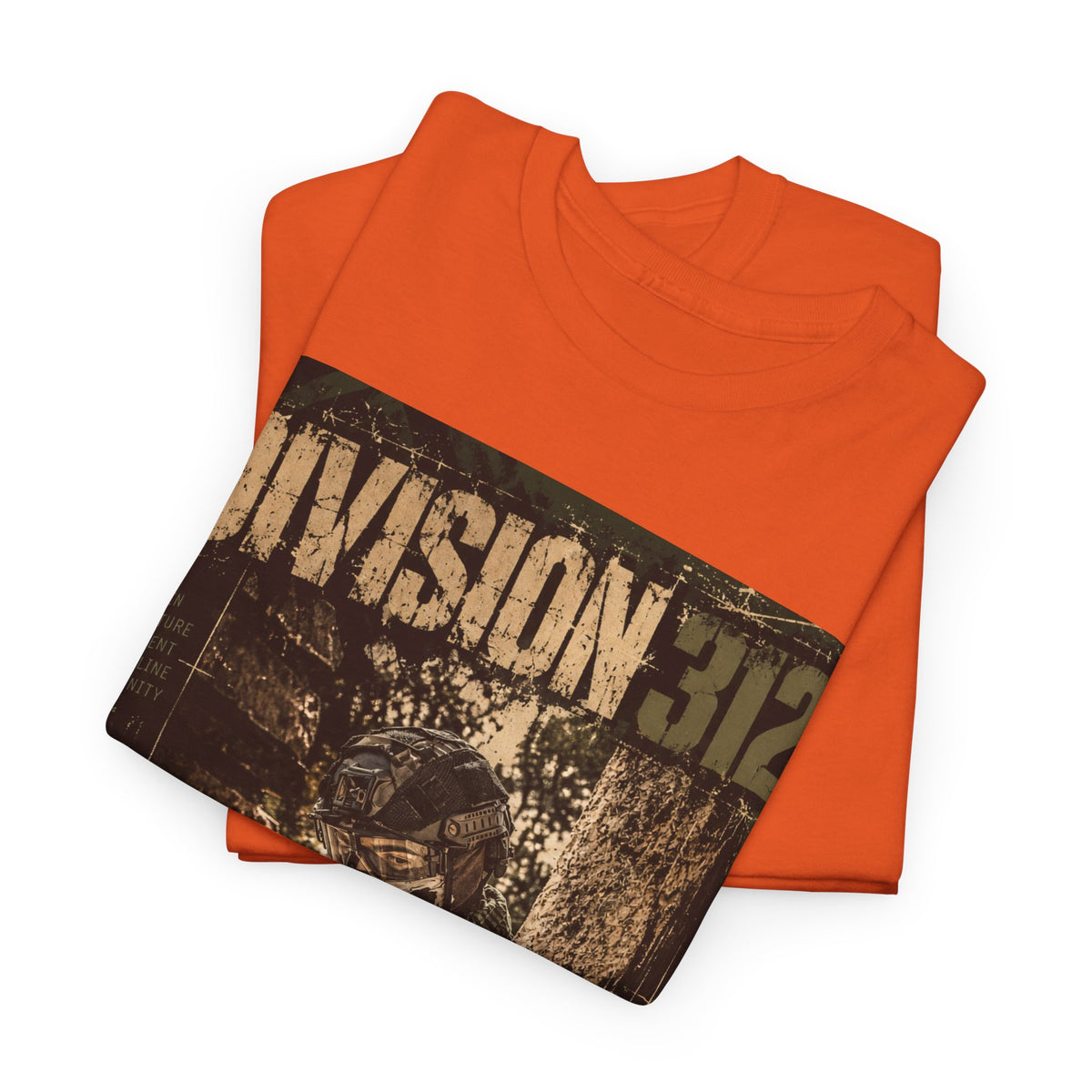 Ruins - Blind Shoot - Division 312