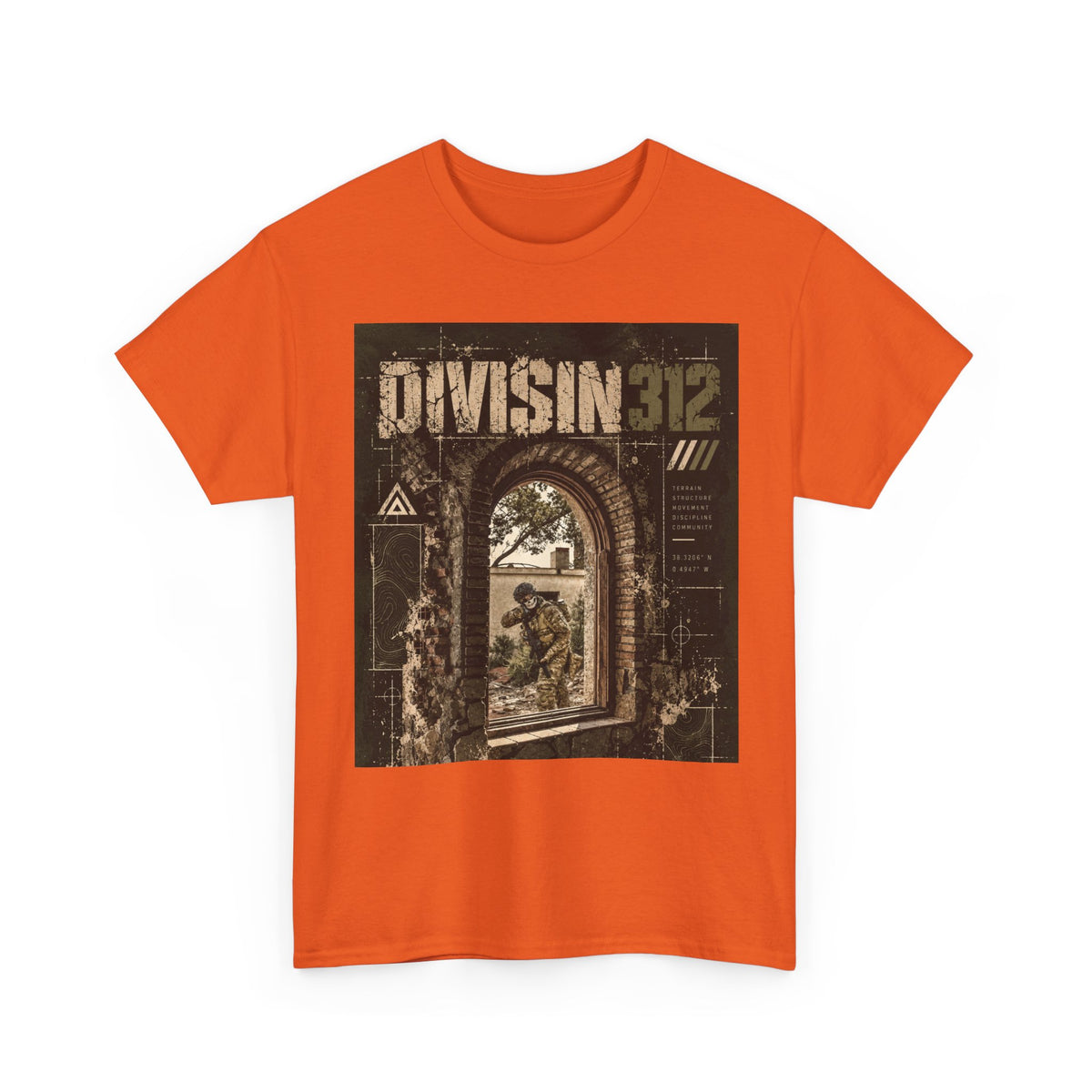 Ruins - Windows danger - Division 312
