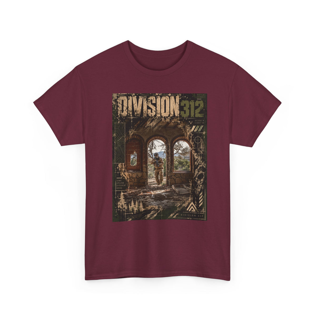 Ruins - Entrance - Division 312
