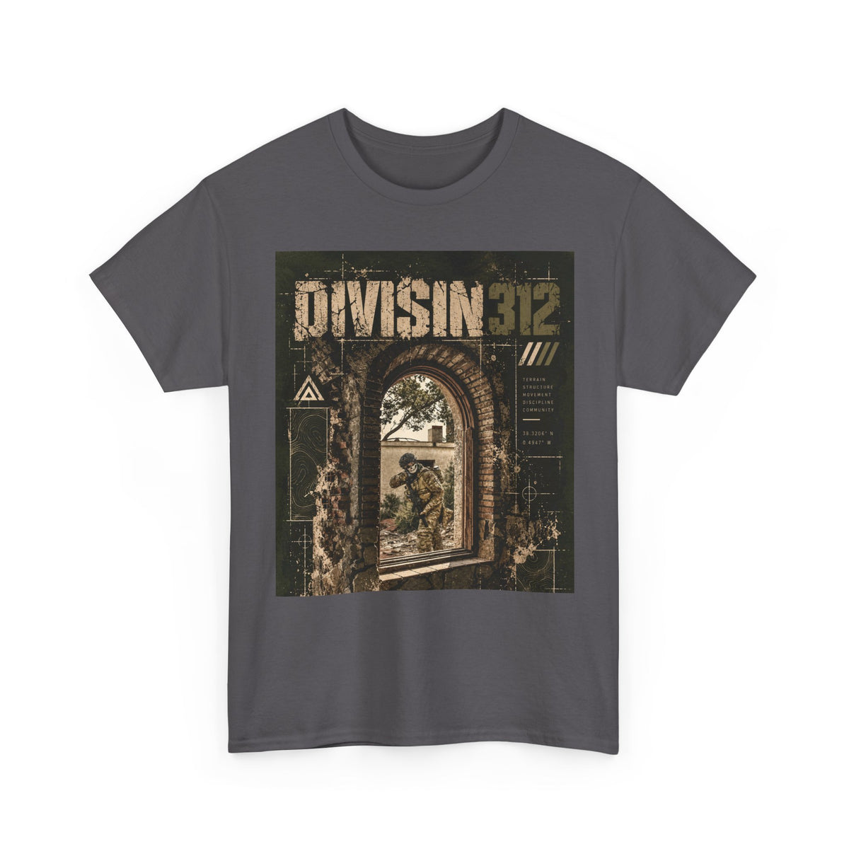 Ruins - Windows danger - Division 312