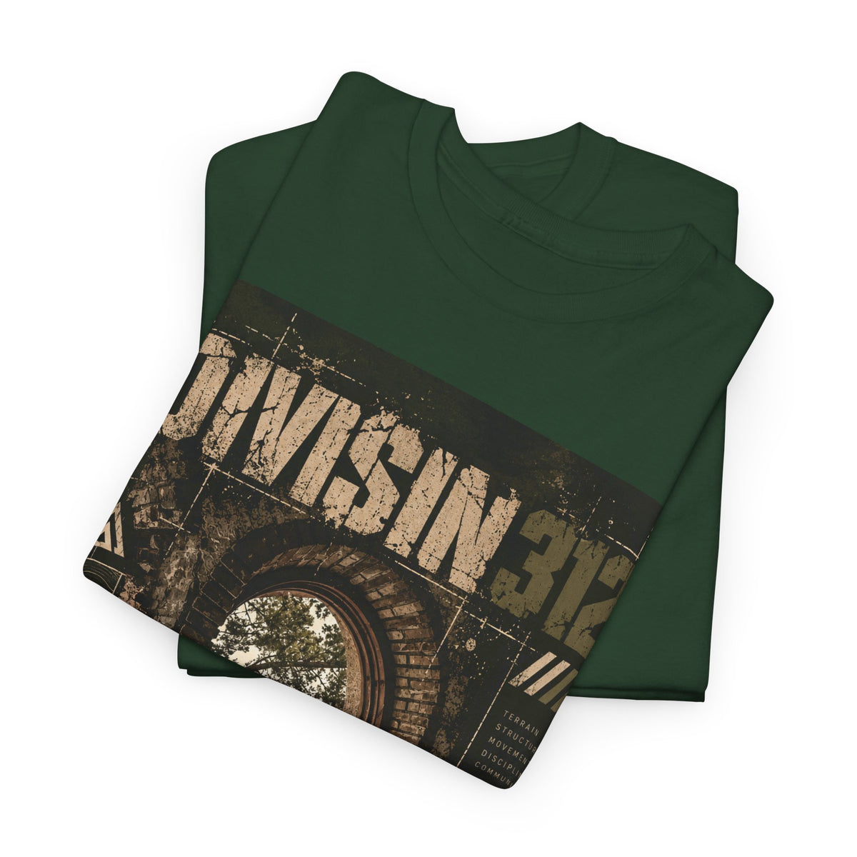Ruins - Windows danger - Division 312
