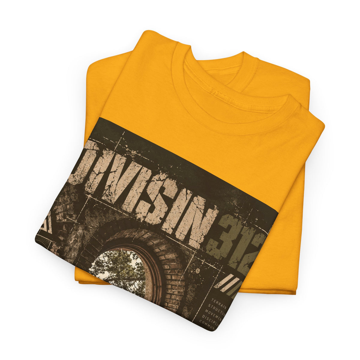 Ruins - Windows danger - Division 312