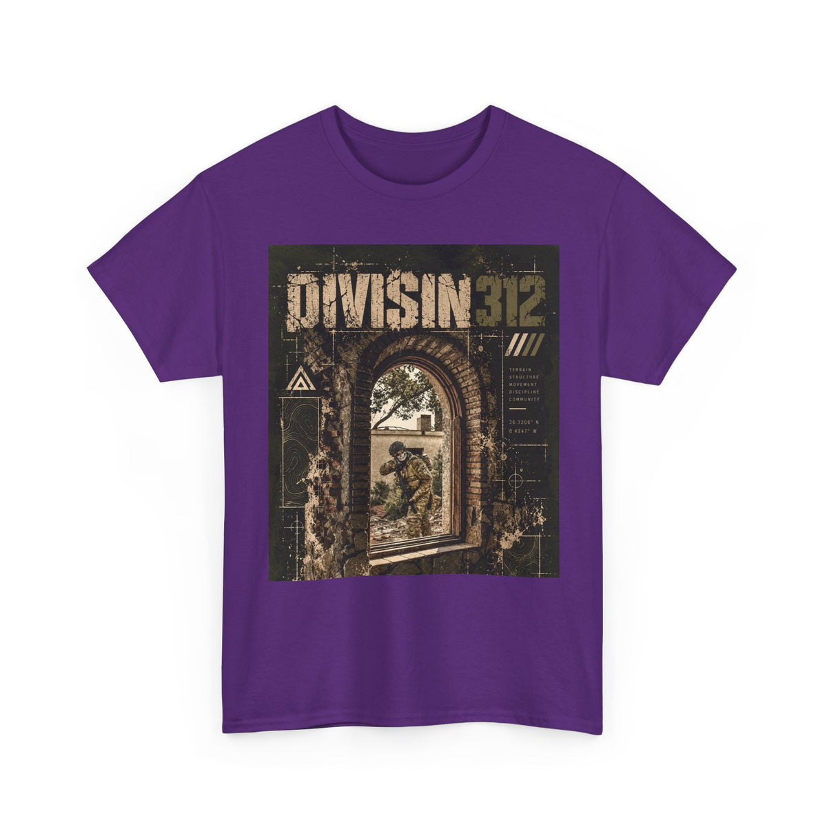 Ruins - Windows danger - Division 312