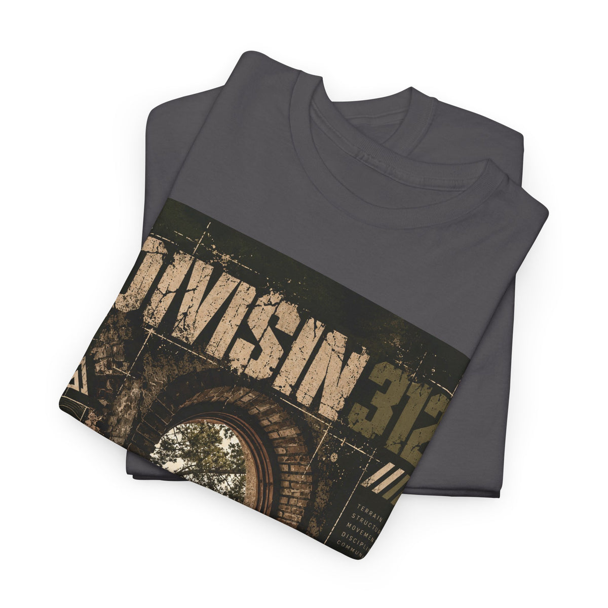 Ruins - Windows danger - Division 312